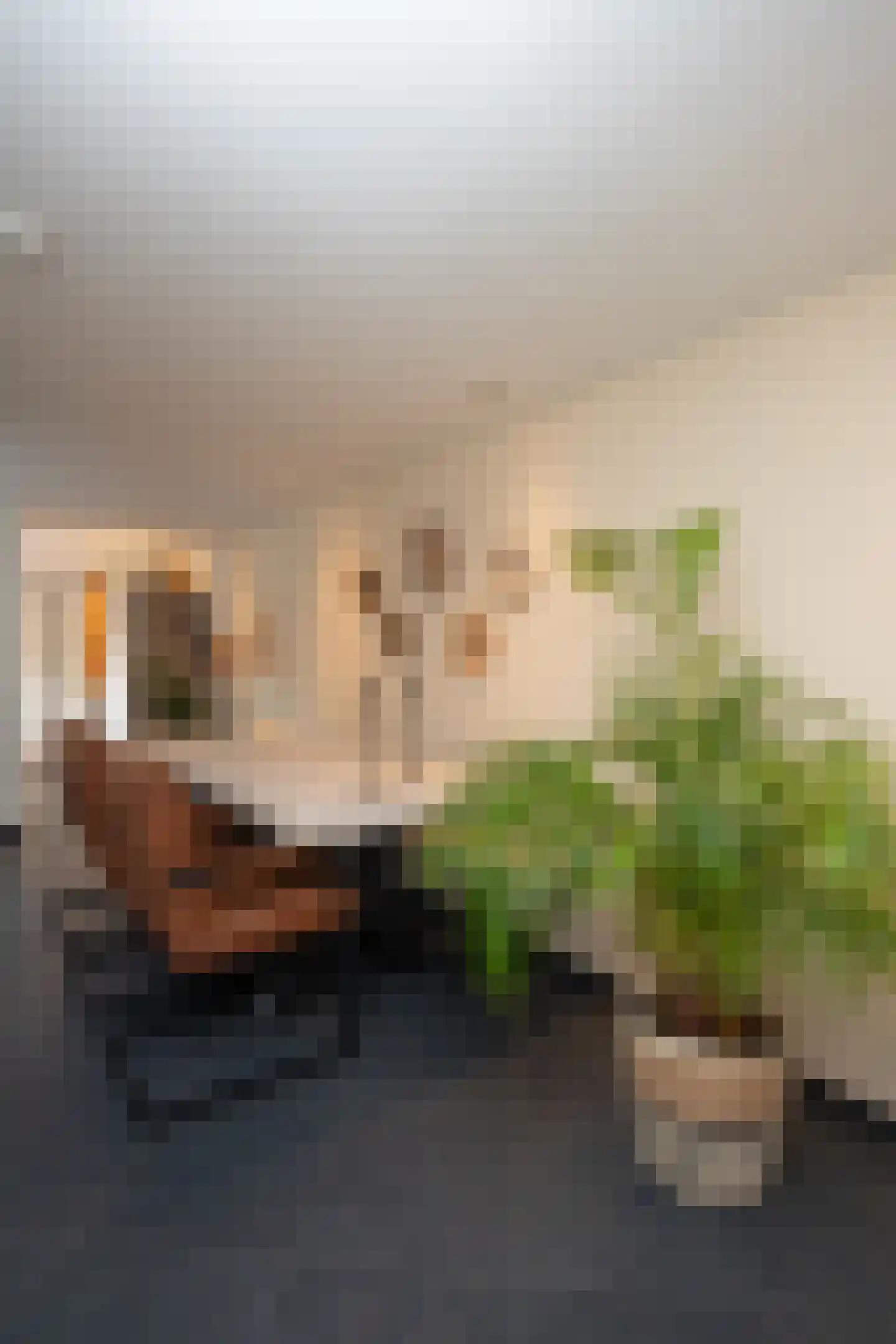 De Ruyterstraat 58 Oudeschild thumbnail 8