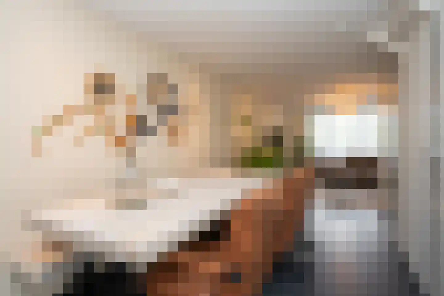 De Ruyterstraat 58 Oudeschild thumbnail 9