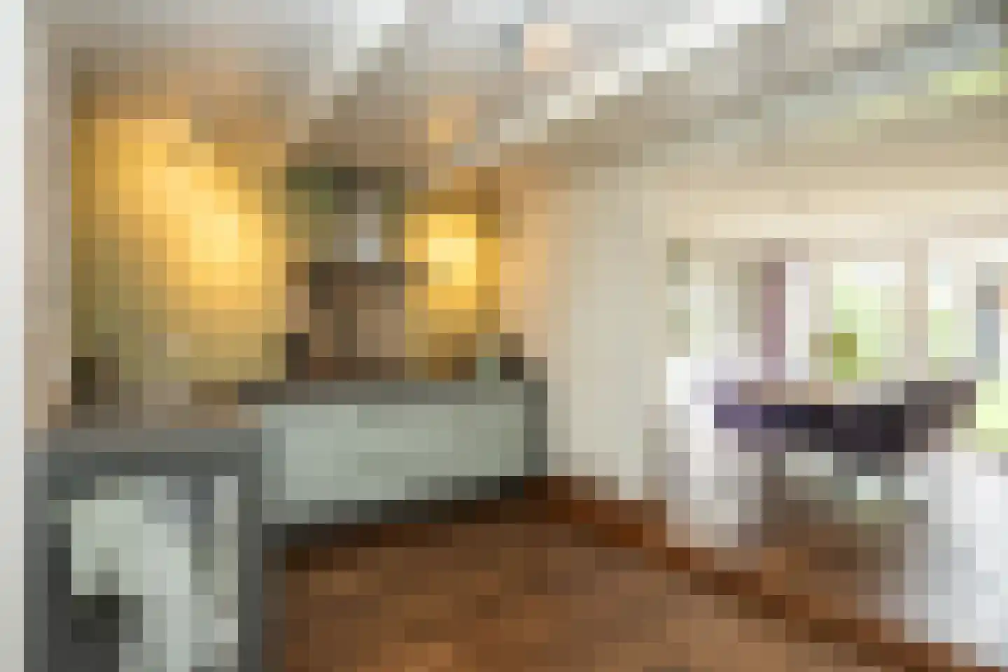 De Ruyterstraat 59 Oudeschild thumbnail 22