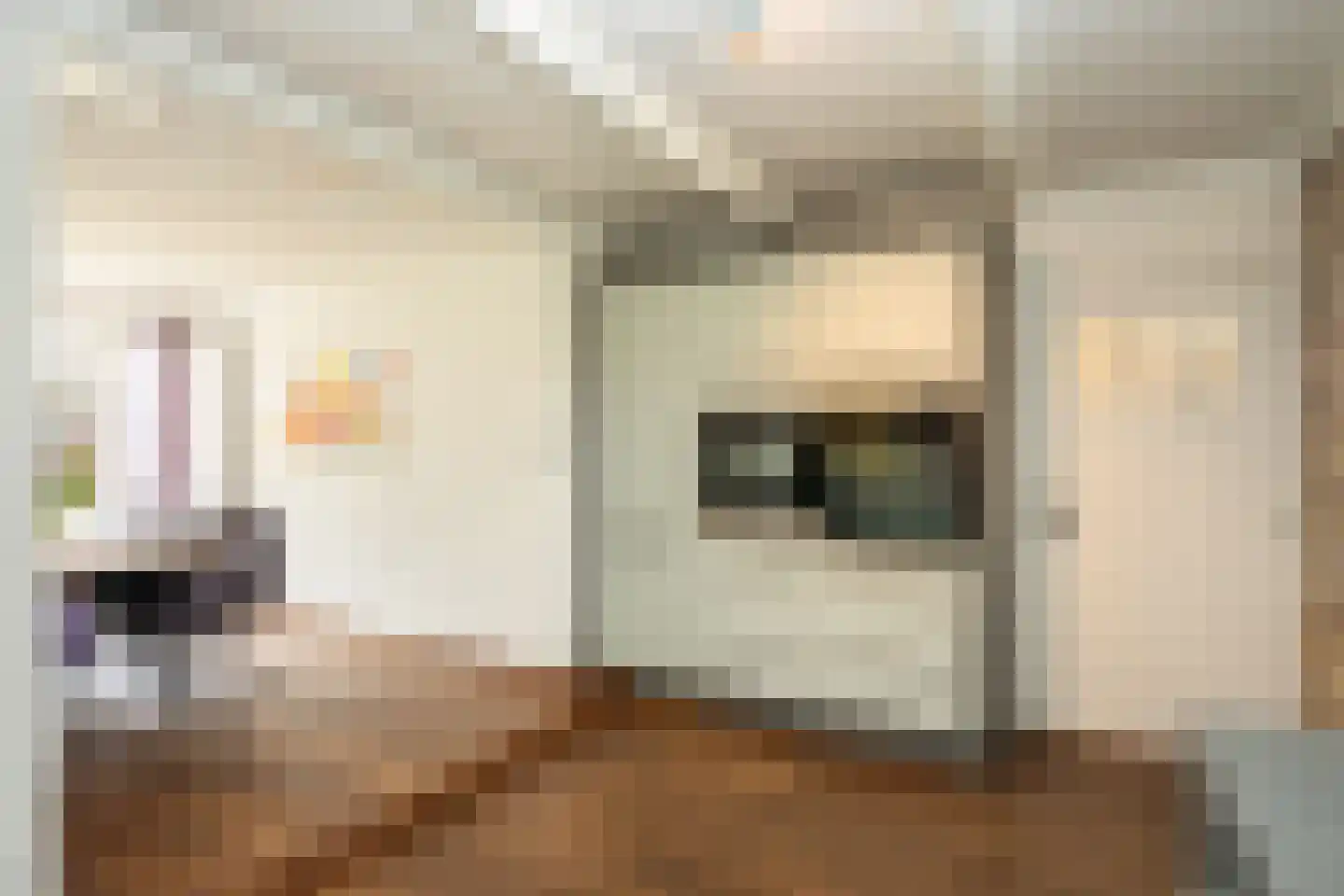 De Ruyterstraat 59 Oudeschild thumbnail 23