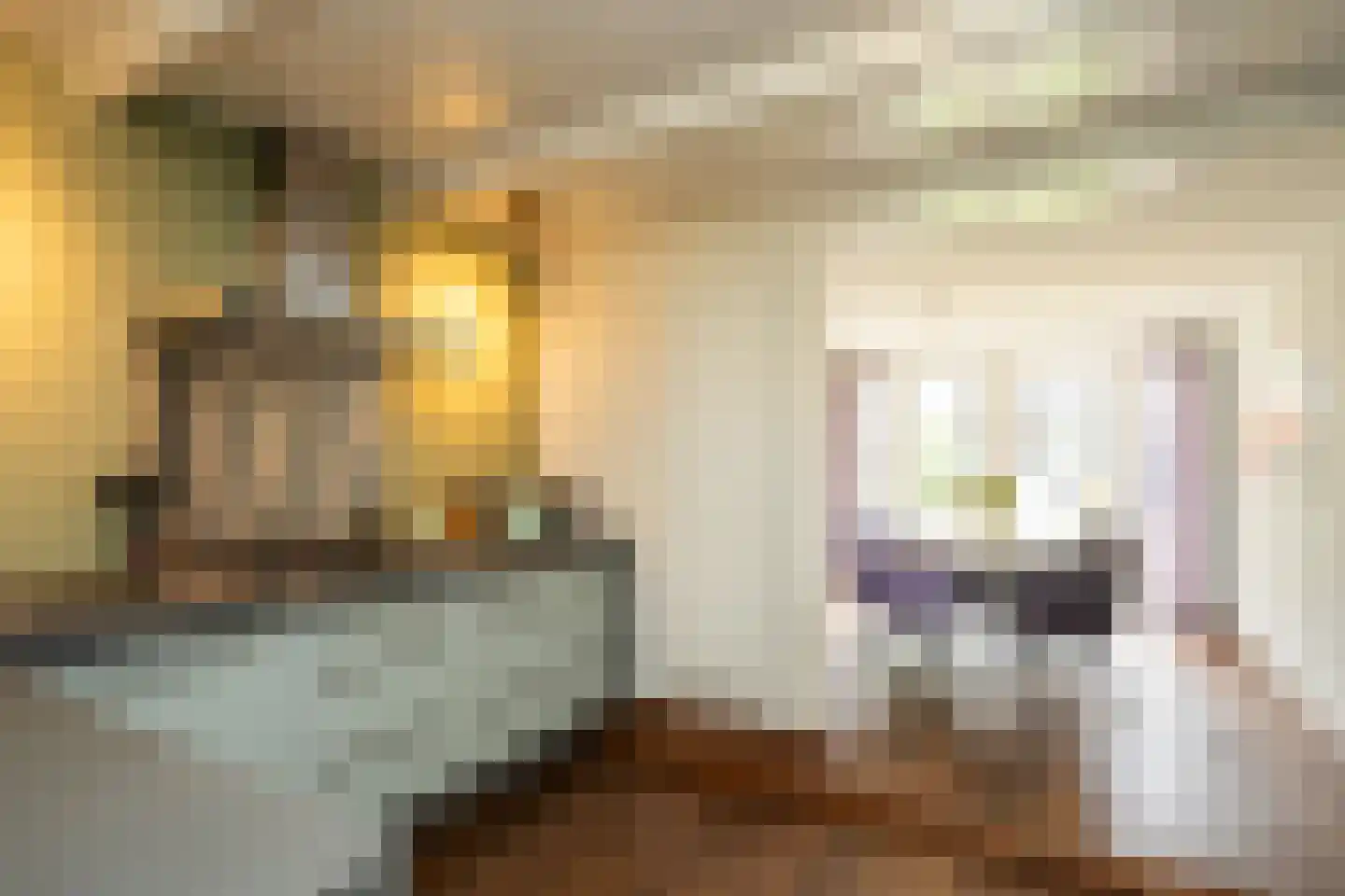 De Ruyterstraat 59 Oudeschild thumbnail 26