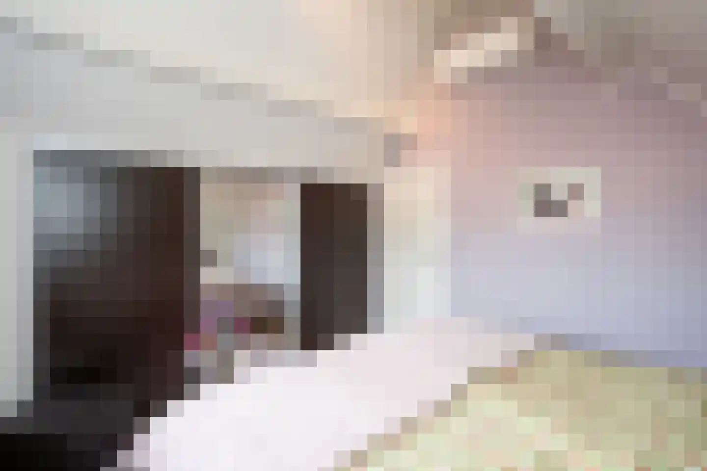 De Ruyterstraat 59 Oudeschild thumbnail 48