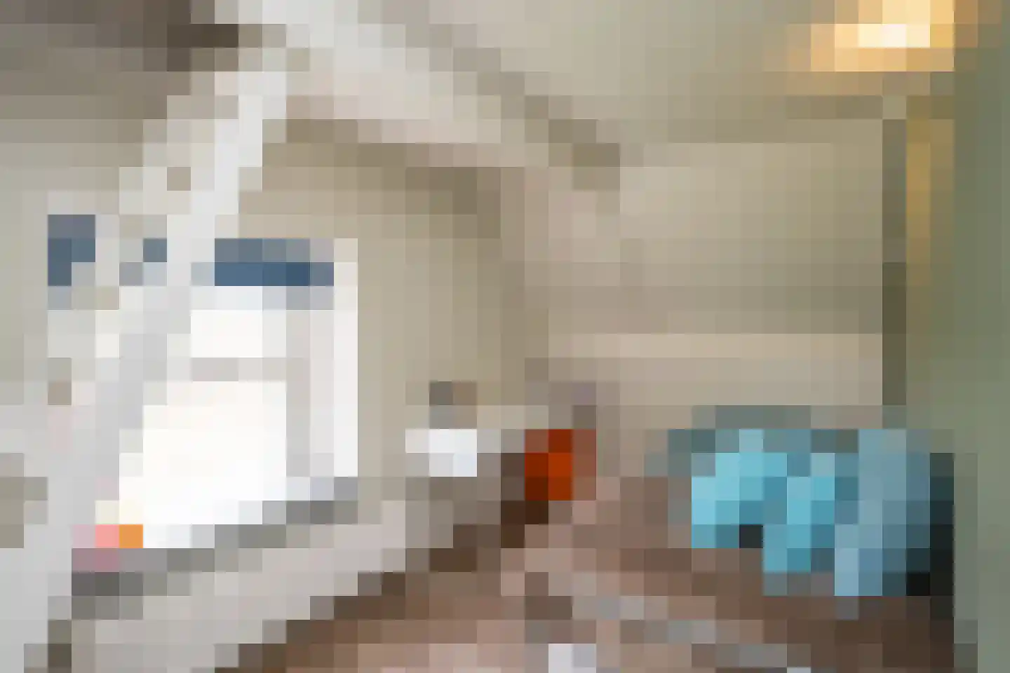 De Ruyterstraat 59 Oudeschild thumbnail 53