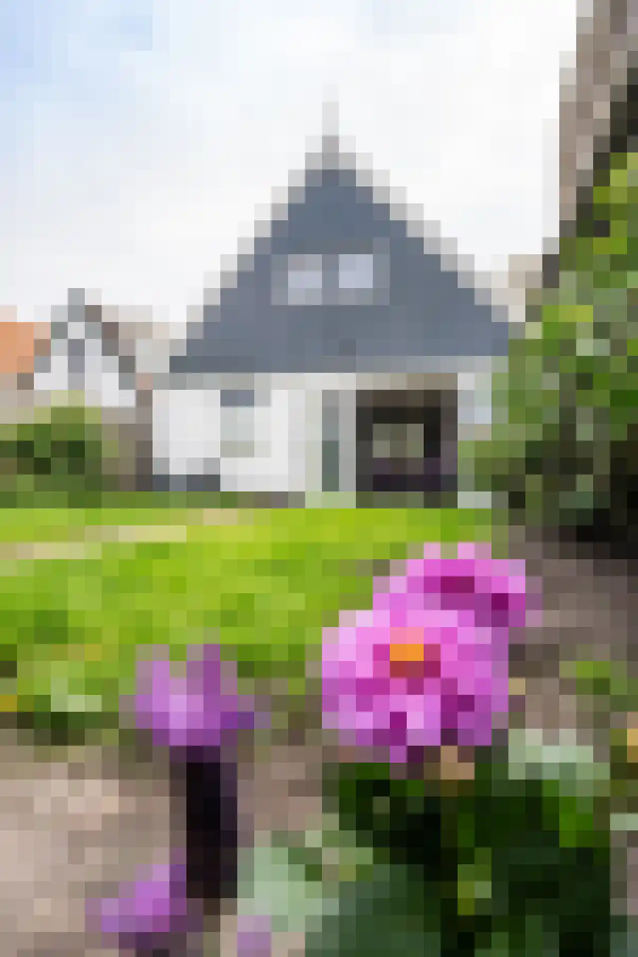 De Ruyterstraat 59 Oudeschild thumbnail 59