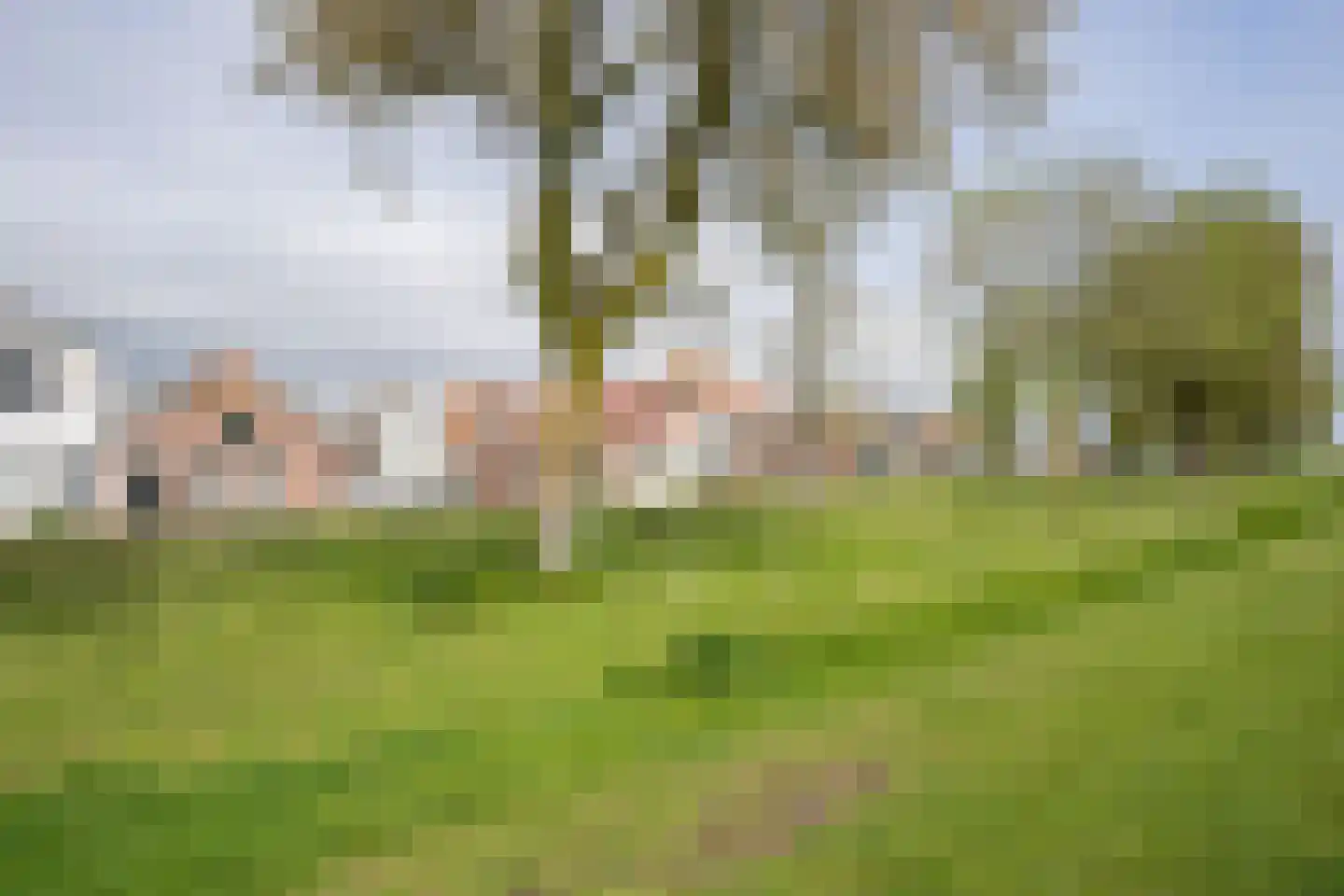 De Ruyterstraat 59 Oudeschild thumbnail 6