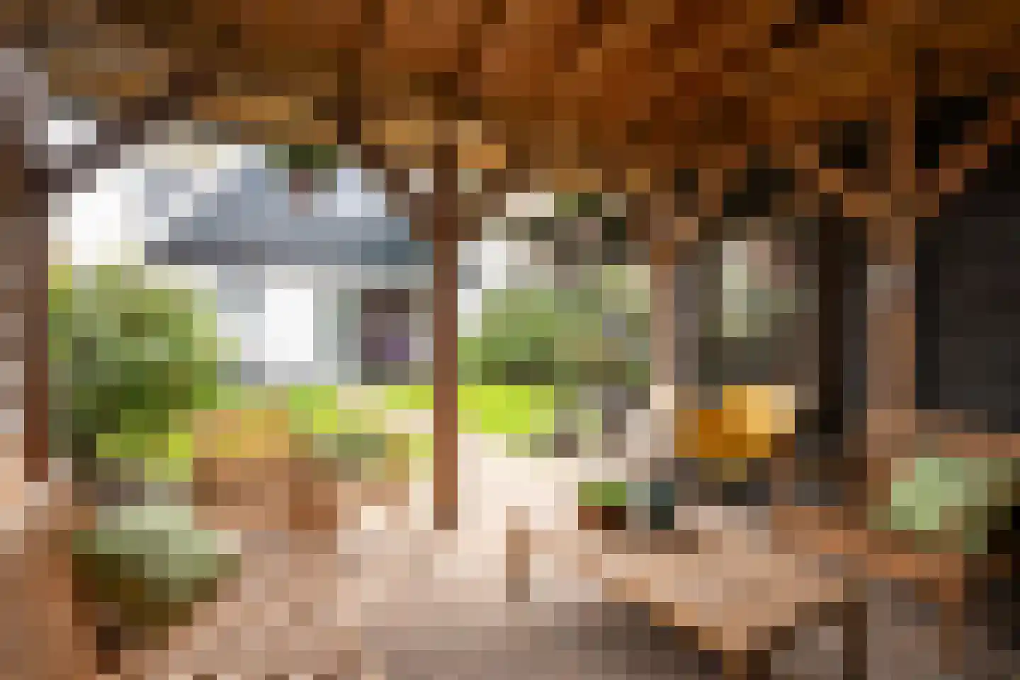 De Ruyterstraat 59 Oudeschild thumbnail 62