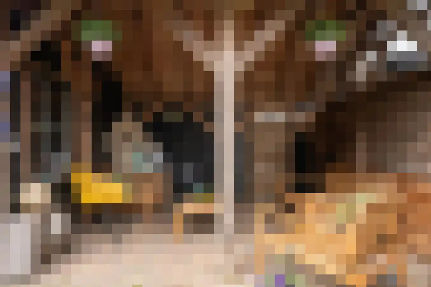 De Ruyterstraat 59 Oudeschild thumbnail 64