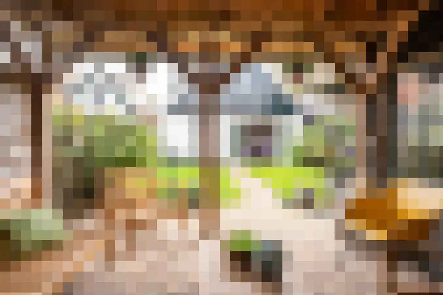 De Ruyterstraat 59 Oudeschild thumbnail 67