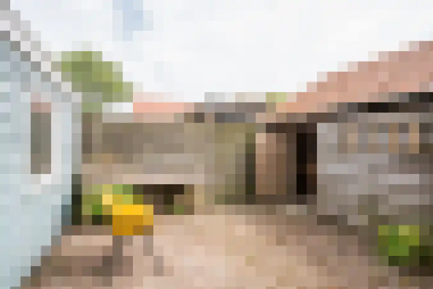 De Ruyterstraat 59 Oudeschild thumbnail 70
