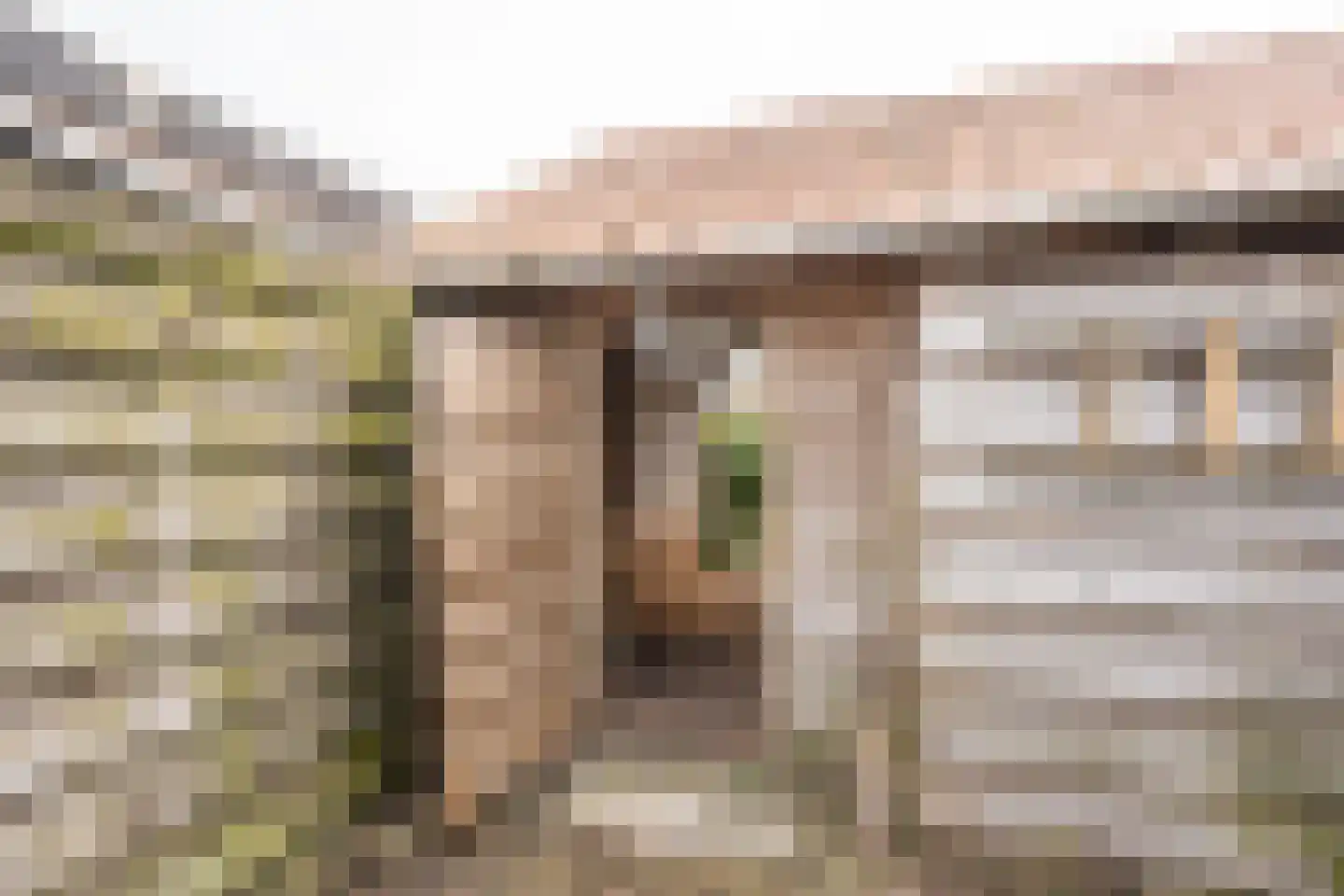 De Ruyterstraat 59 Oudeschild thumbnail 71