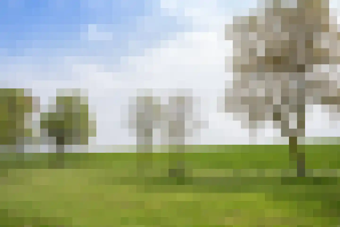 De Ruyterstraat 59 Oudeschild thumbnail 81