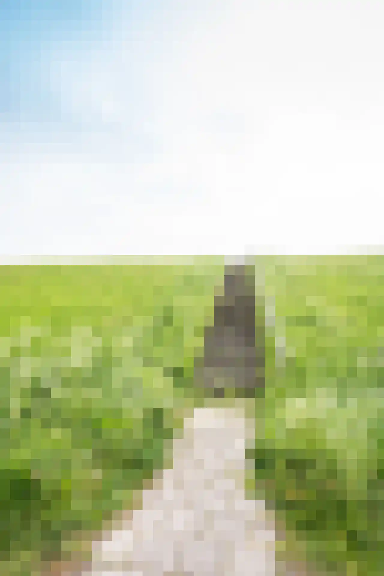 De Ruyterstraat 59 Oudeschild thumbnail 82