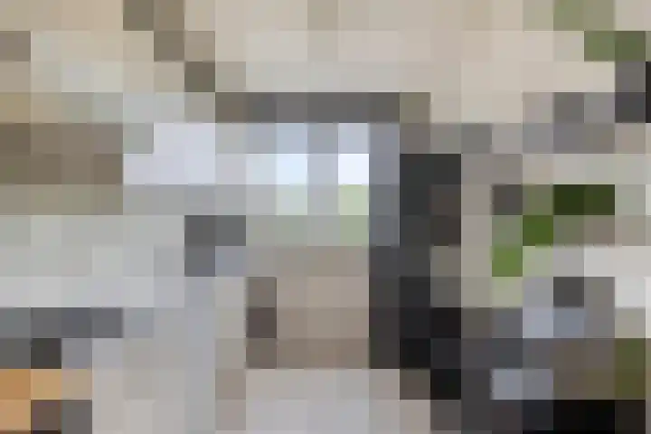 de Ruyterstraat 6 A Heinenoord thumbnail 11
