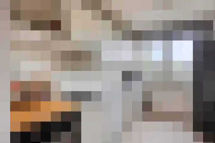 de Ruyterstraat 6 A Heinenoord thumbnail 12