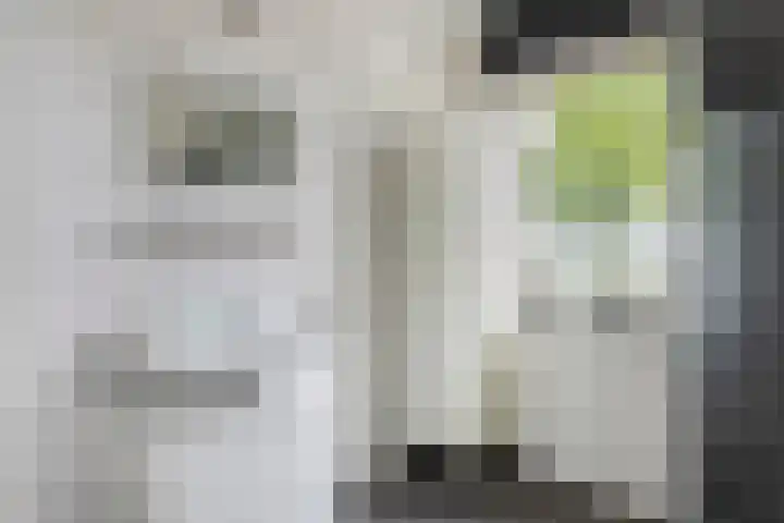 de Ruyterstraat 6 A Heinenoord thumbnail 19