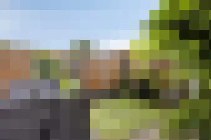 de Ruyterstraat 6 A Heinenoord thumbnail 28