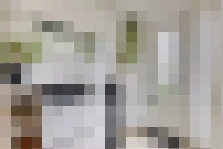 de Ruyterstraat 6 A Heinenoord thumbnail 4