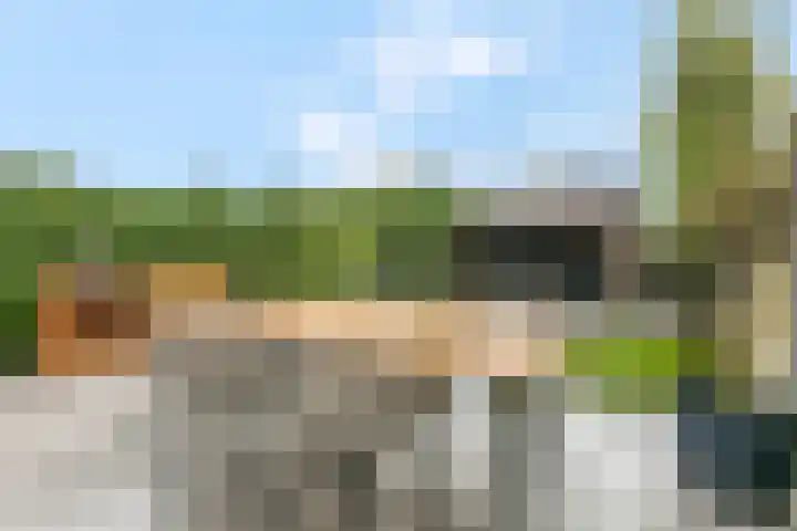De Ruyterstraat 6 Ede thumbnail 31