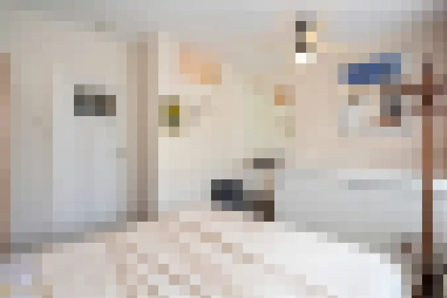 de Ruyterstraat 6 F 3 Zandvoort thumbnail 24