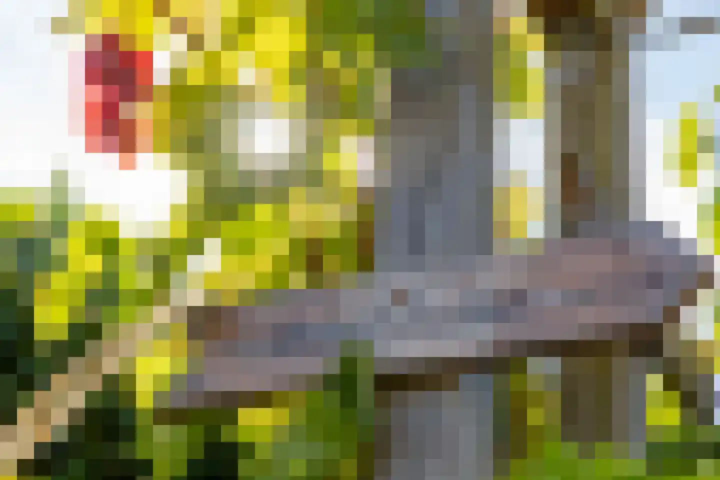 de Ruyterstraat 6 Koudekerke thumbnail 39
