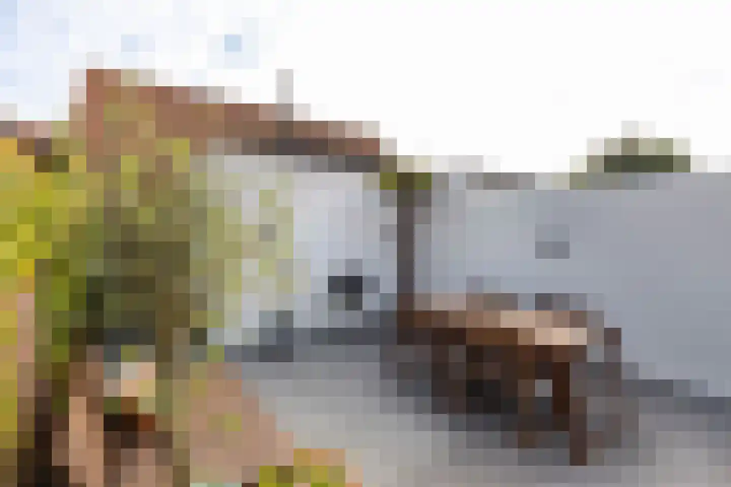 de Ruyterstraat 60 Noordwijk thumbnail 25