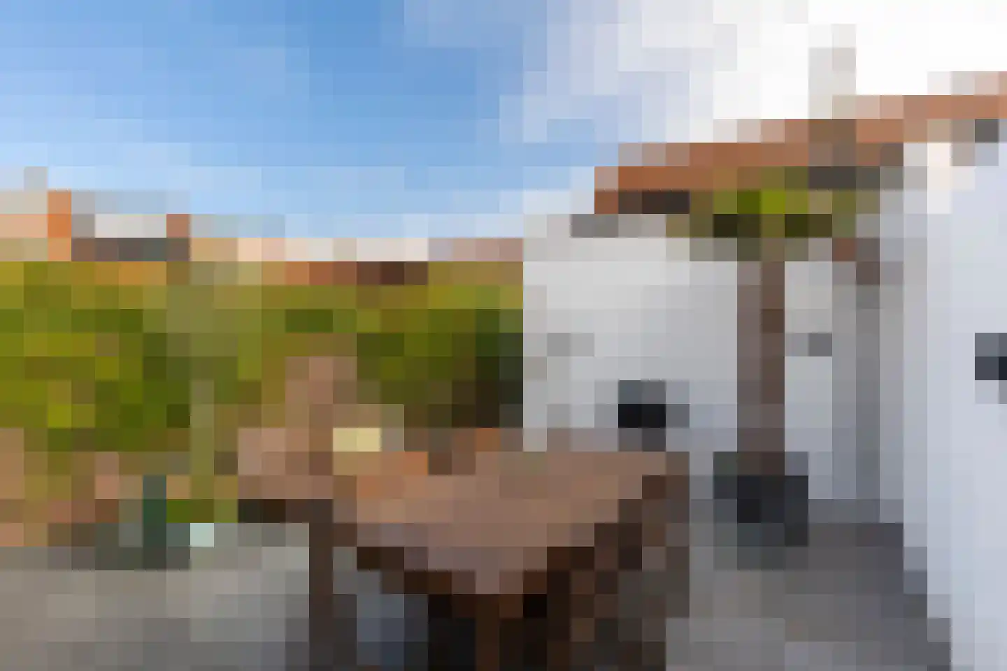 de Ruyterstraat 60 Noordwijk thumbnail 26