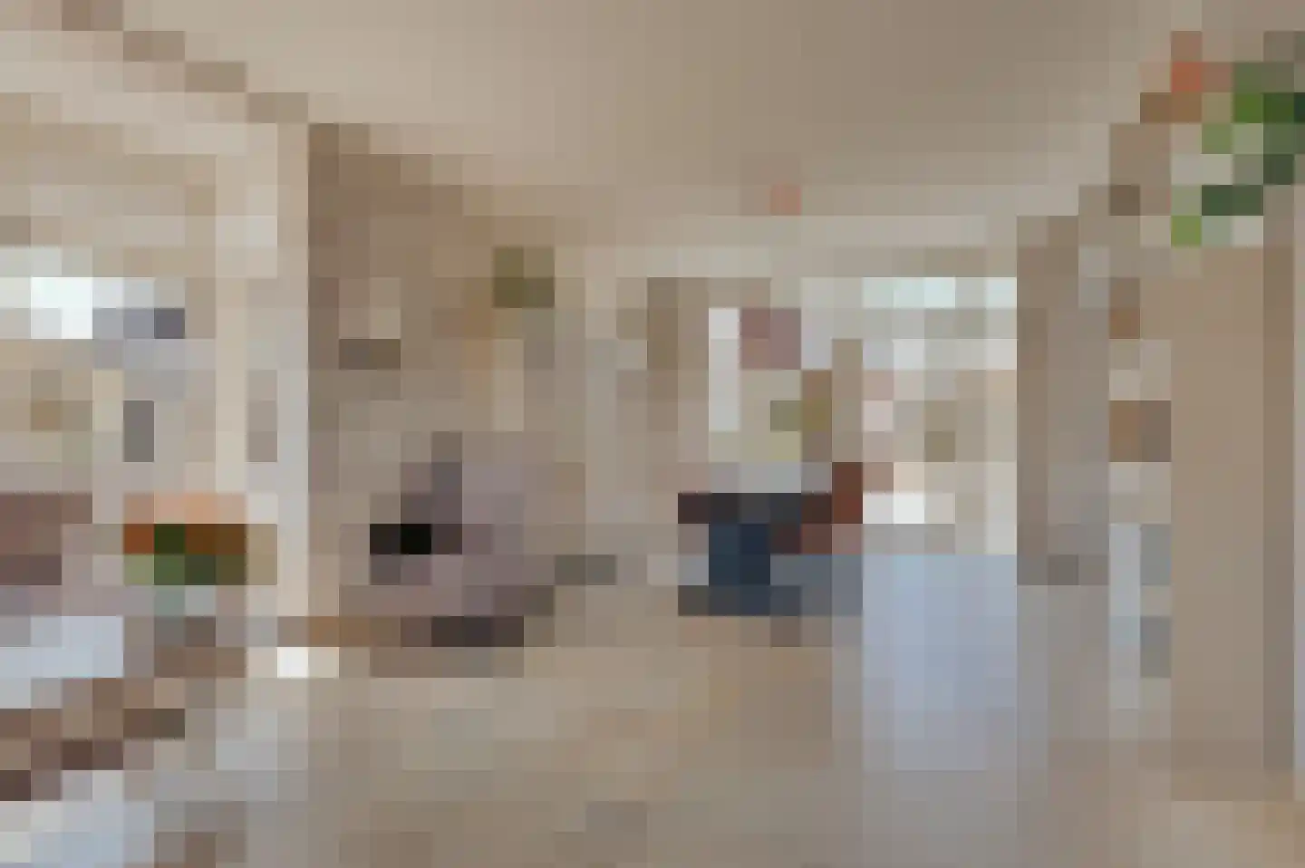 de Ruyterstraat 7 Koudekerke thumbnail 30