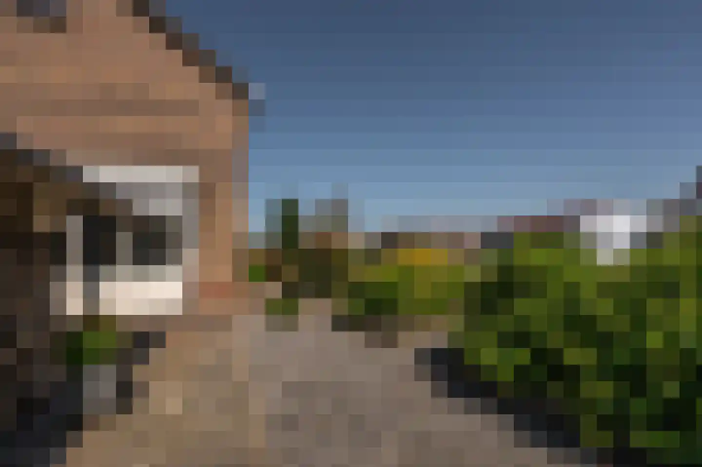de Ruyterstraat 7 Koudekerke thumbnail 6