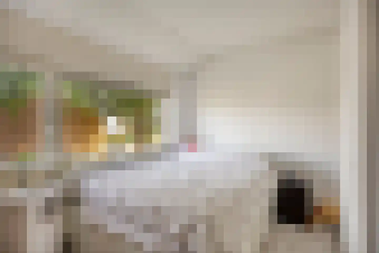 de Ruyterstraat 7 Weurt thumbnail 12
