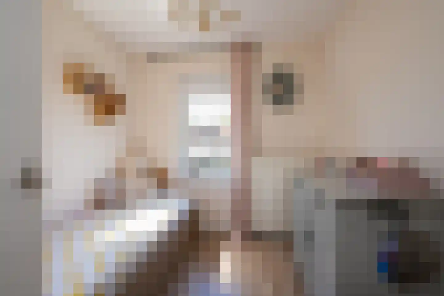De Ruyterstraat 73 Huizen thumbnail 24