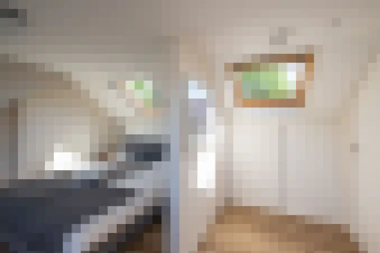 De Ruyterstraat 73 Huizen thumbnail 35