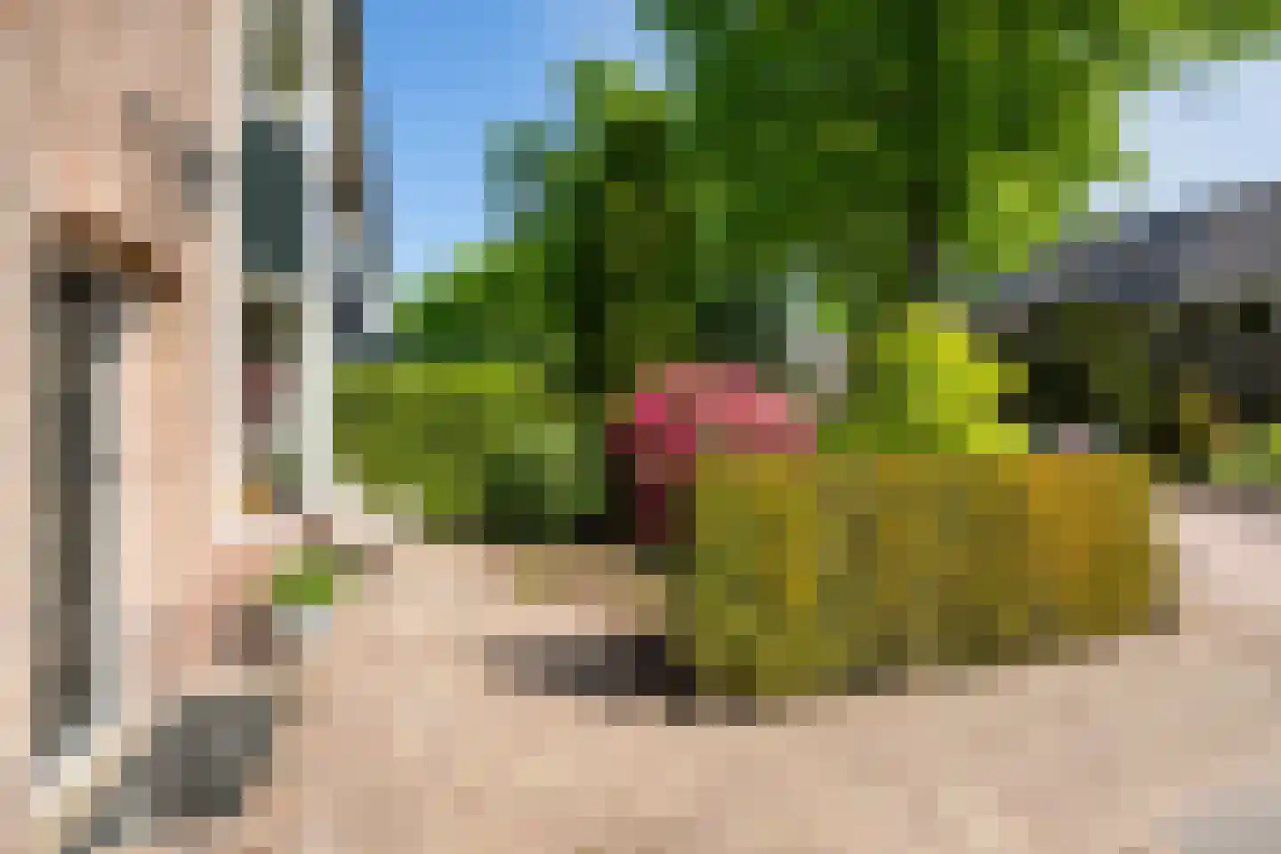 De Ruyterstraat 73 Huizen thumbnail 5
