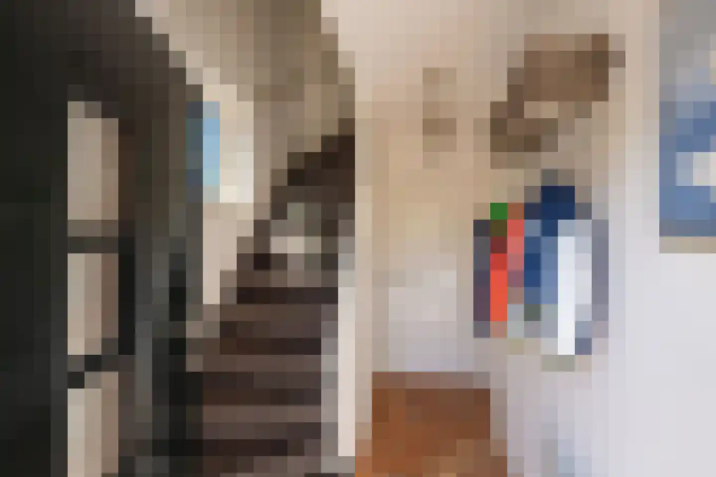 De Ruyterstraat 73 Huizen thumbnail 6