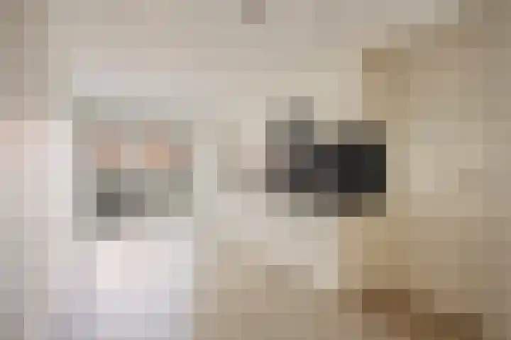 de Ruyterstraat 8 D Noordwijk thumbnail 10