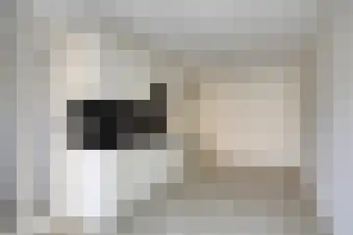 de Ruyterstraat 8 D Noordwijk thumbnail 7