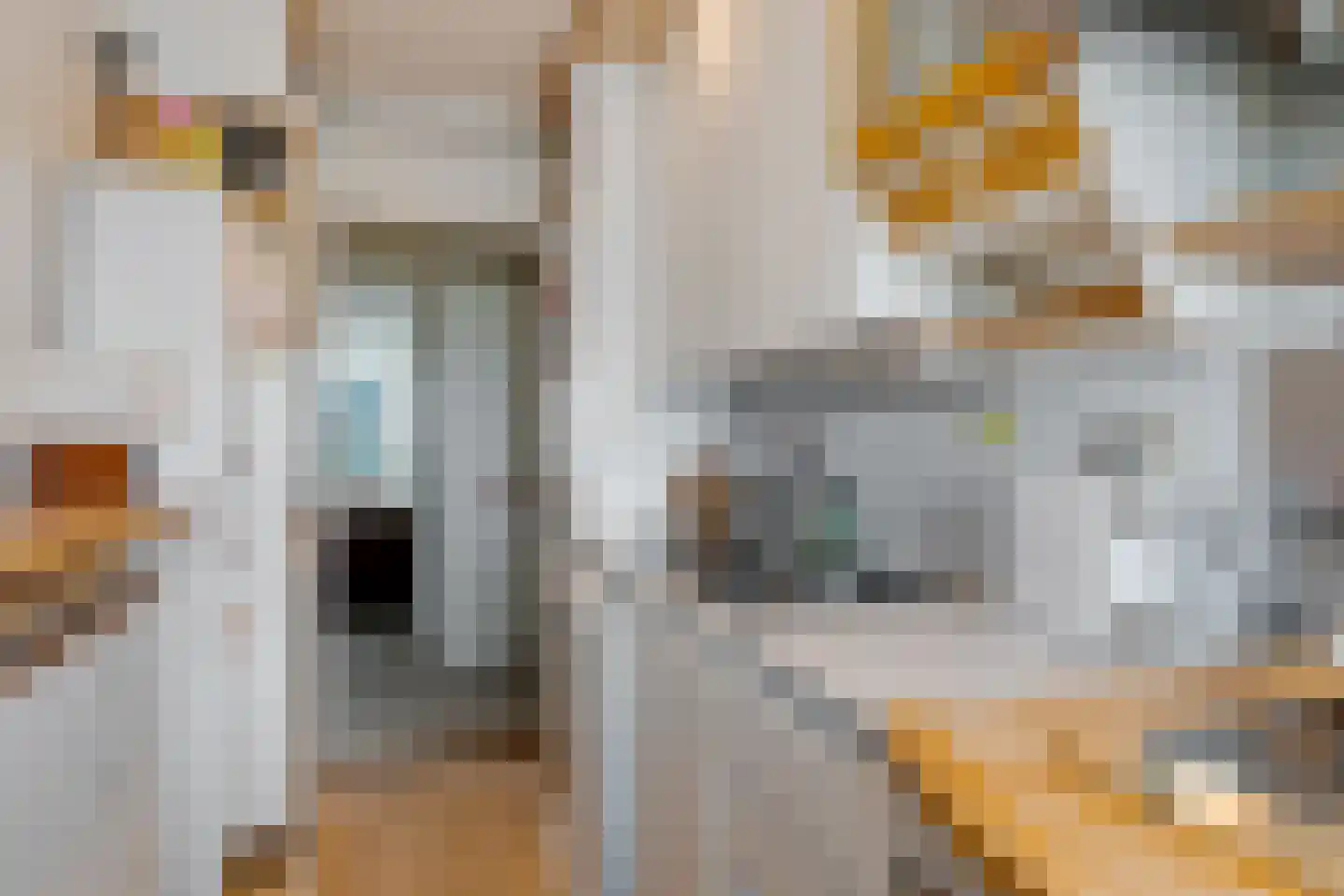 de Ruyterstraat 8 F 5 Zandvoort thumbnail 17