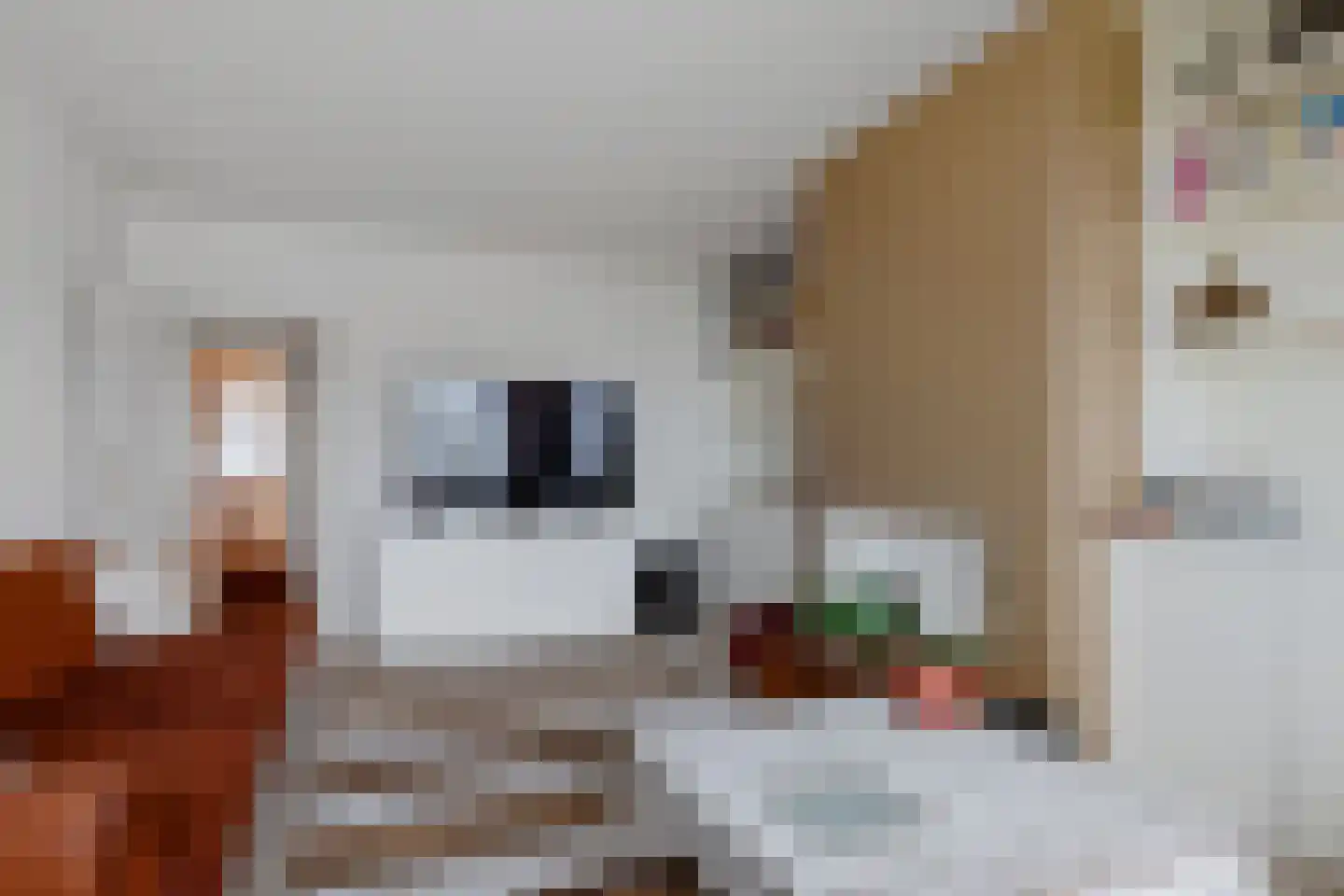 de Ruyterstraat 8 F 5 Zandvoort thumbnail 8