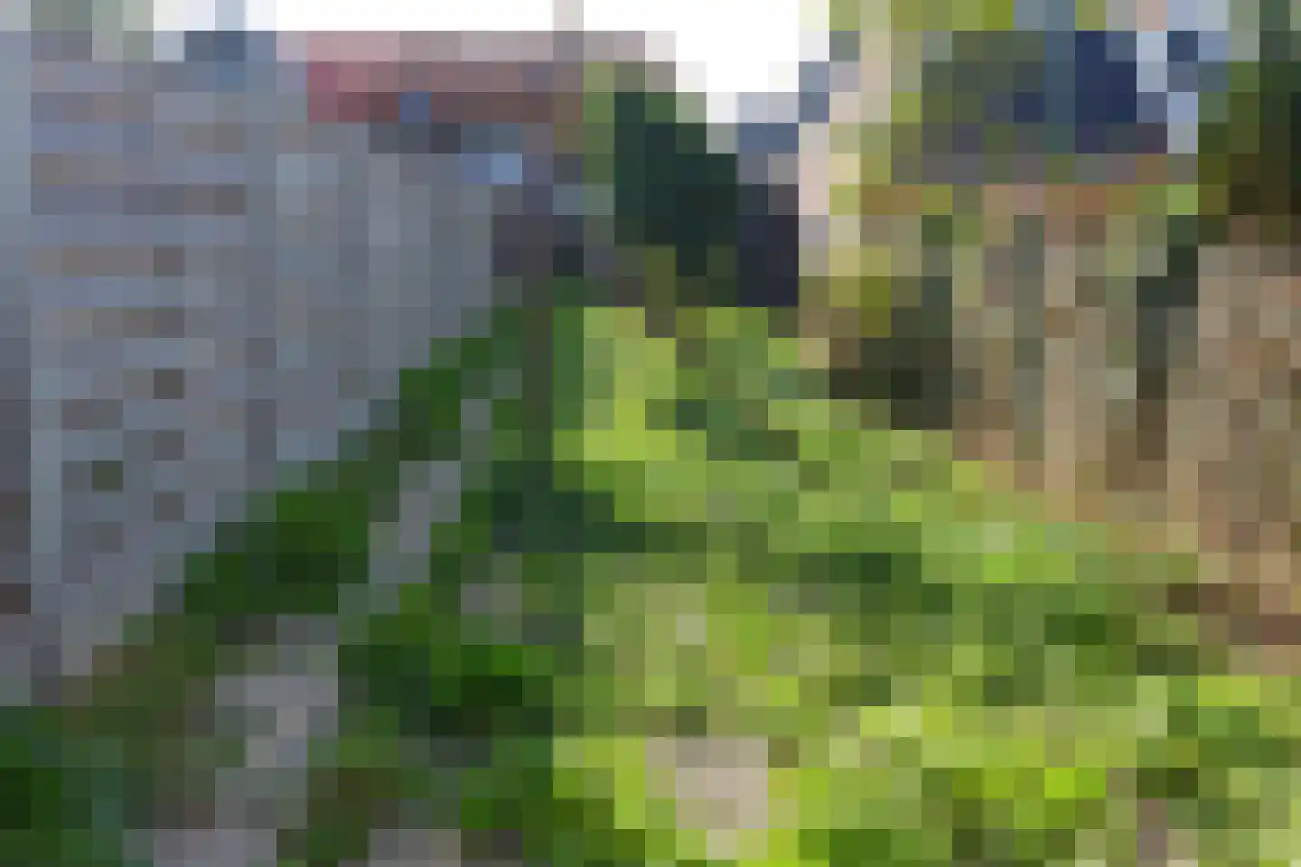 De Ruyterstraat 89 Oudeschild thumbnail 31