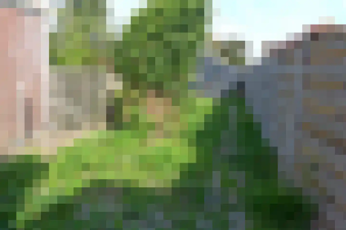 De Ruyterstraat 89 Oudeschild thumbnail 33