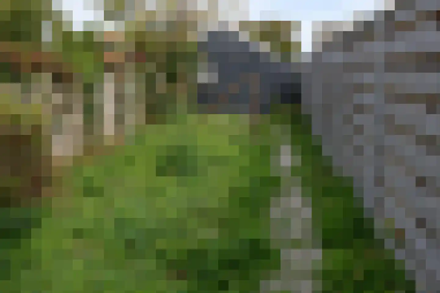 De Ruyterstraat 89 Oudeschild thumbnail 4