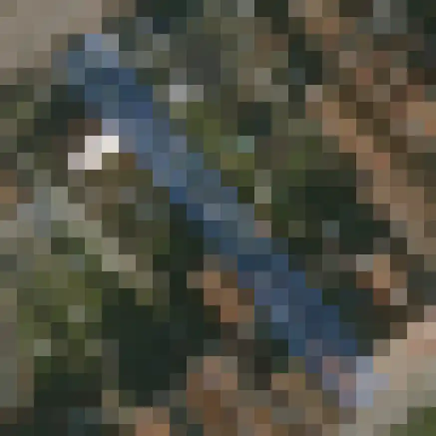 De Ruyterstraat 89 Oudeschild thumbnail 47