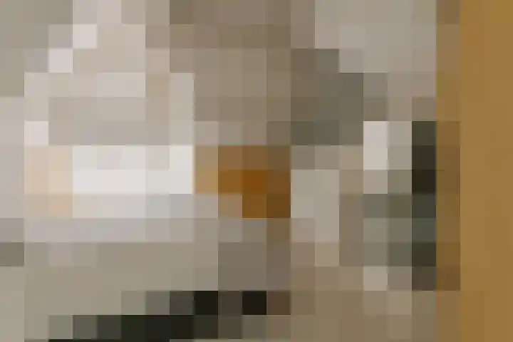 De Ruyterstraat 9 Huizen thumbnail 34