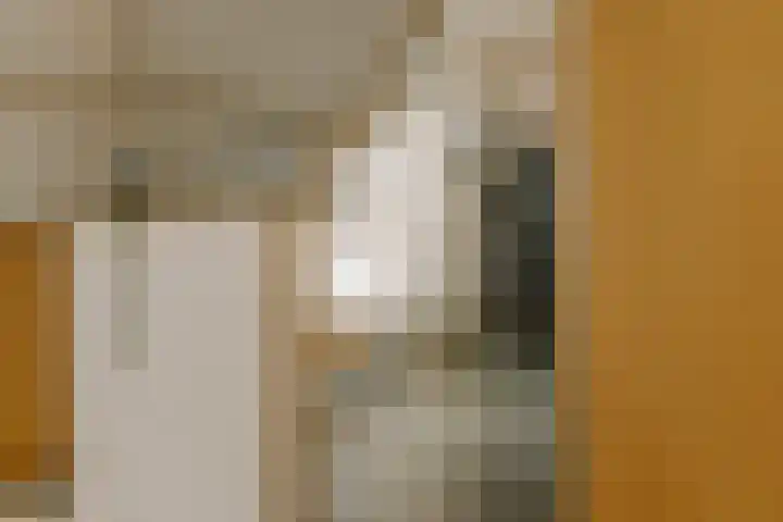 De Ruyterstraat 9 Huizen thumbnail 35