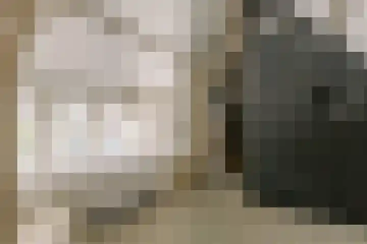 De Ruyterstraat 9 Huizen thumbnail 40