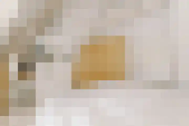 De Ruyterstraat 9 Huizen thumbnail 43