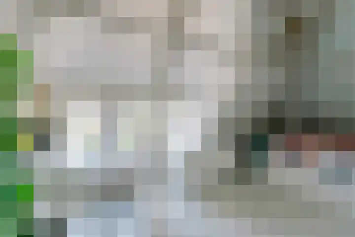 De Ruyterstraat 9 Huizen thumbnail 45