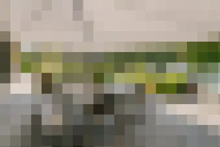 De Ruyterstraat 9 Huizen thumbnail 65