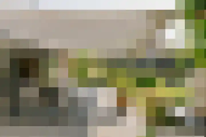 De Ruyterstraat 9 Huizen thumbnail 71