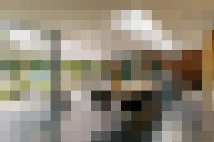 De Ruyterstraat 9 Huizen thumbnail 8