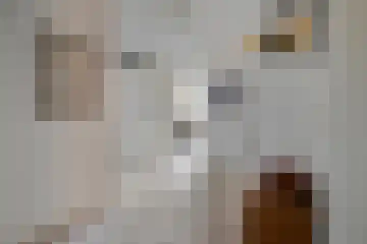 De Ruyterstraat 94 Haastrecht thumbnail 9